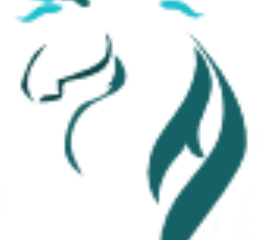 انجال الخليج للمقاولات