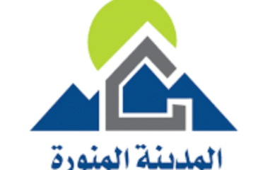 هندسة الحماية