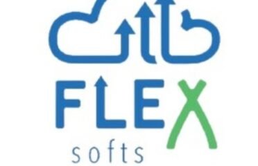 فلكس سوفت لتقنية المعلومات